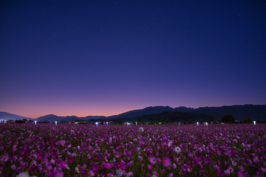 古都　夜明け・・・2021