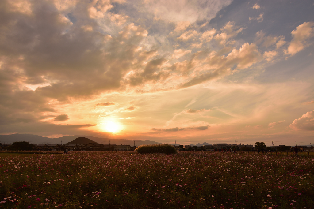 古都に沈む夕陽②