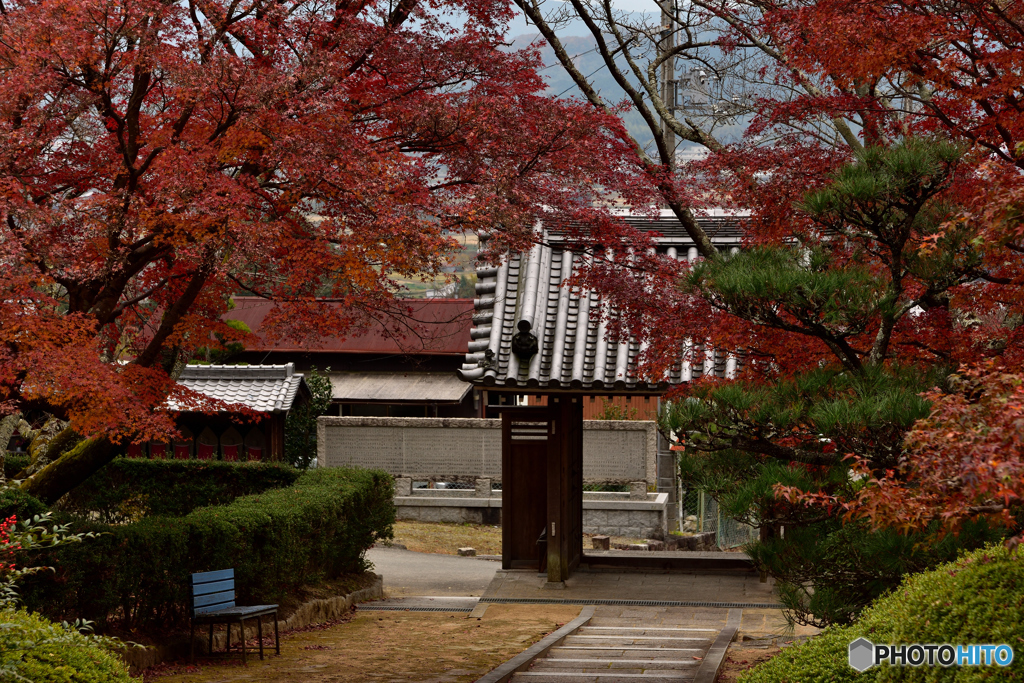 哀愁漂う山寺