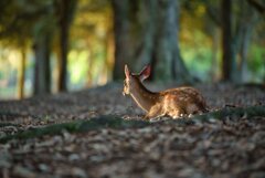 見つめる先・・