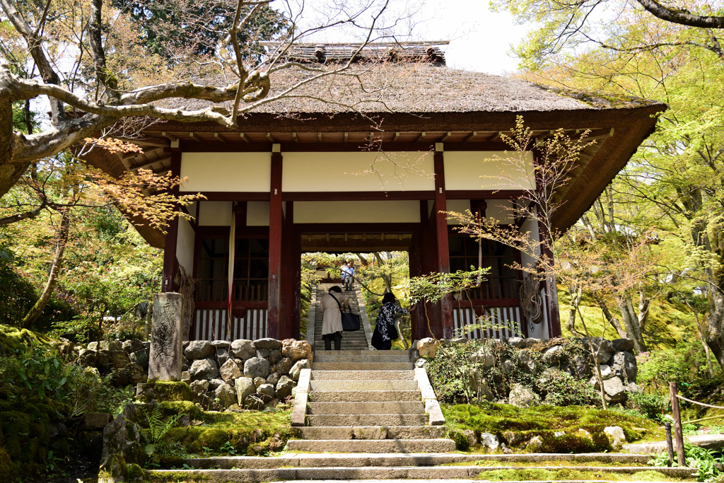 常寂光寺　仁王門