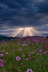 天空の楽園～天使降臨