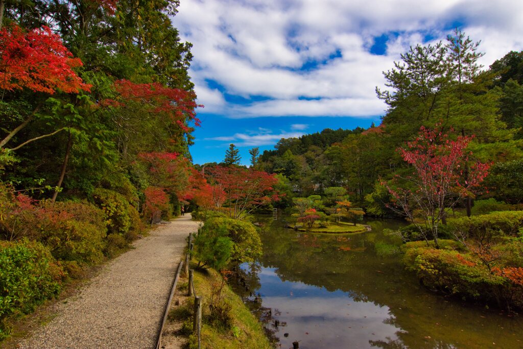 紅葉の名勝庭園～円成寺