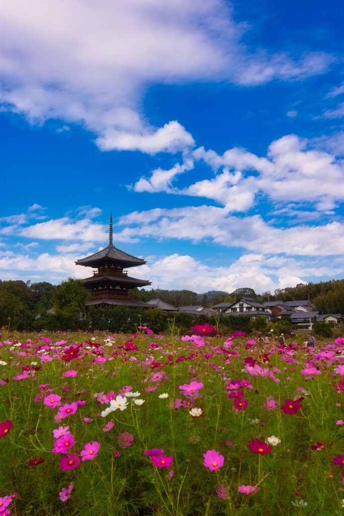 秋の法起寺～弐