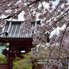 楼門を彩る～奥院