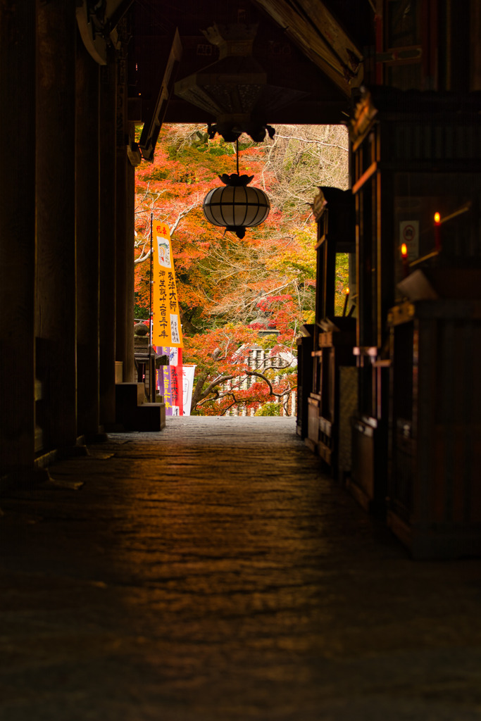 秋の本堂　其の弐