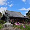 秋桜の宴