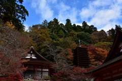 17’紅葉の談山神社⑧