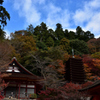 17’紅葉の談山神社⑧