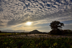 本薬師寺跡の陽が沈む・・・