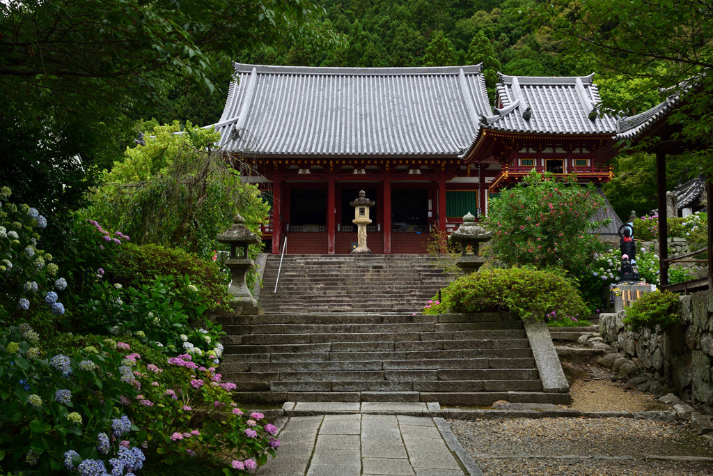 あじさい寺