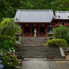 あじさい寺