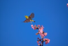 青空と・・・