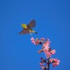 青空と・・・