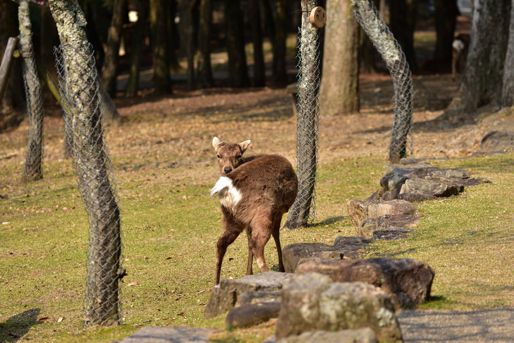 あっ！見つかった！