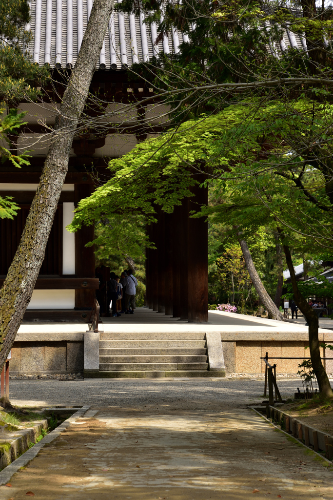 唐招提寺　金堂①