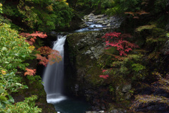 涼を求めて～高野大滝