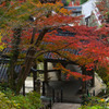 錦秋の長谷寺～登廊