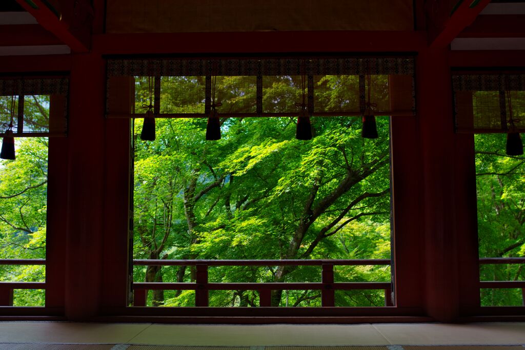 深緑の談山神社～拝殿 〈弐〉