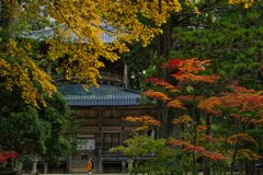 紅葉の中で・・祈る