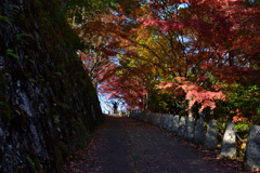 高城山にて①