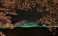 桜～石舞台の夜
