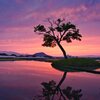 古宮の水鏡　其の弐