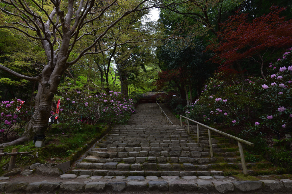 石楠花の山寺