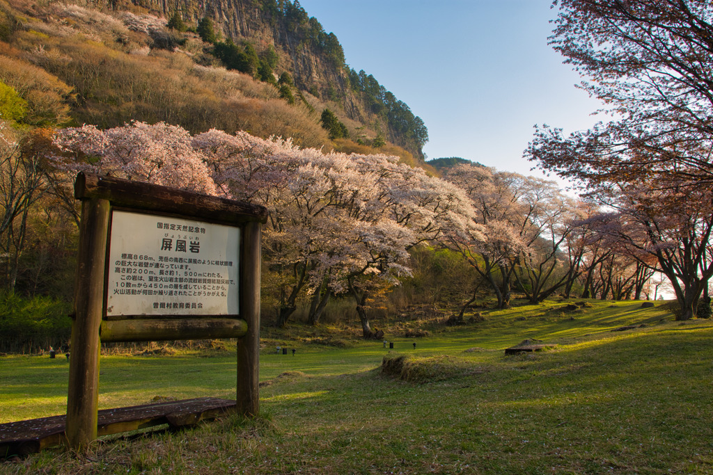 満開の屏風岩　参