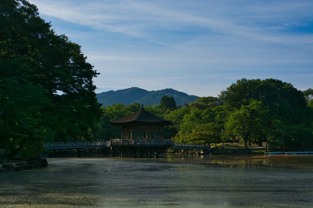 早朝の浮見堂　③