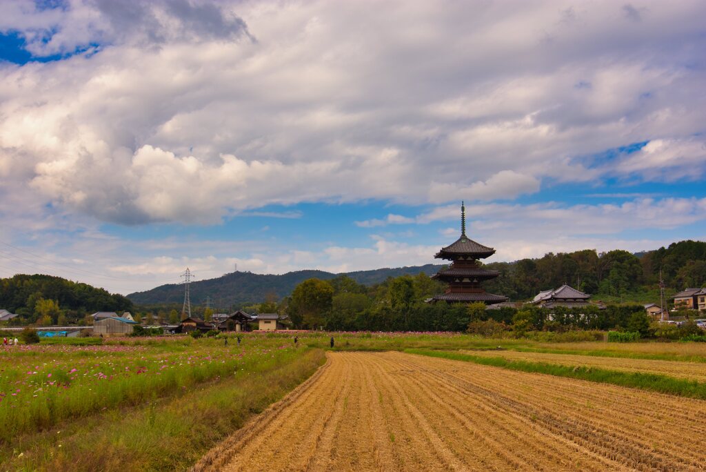 秋の法起寺～参