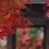 大門の前で・・・秋