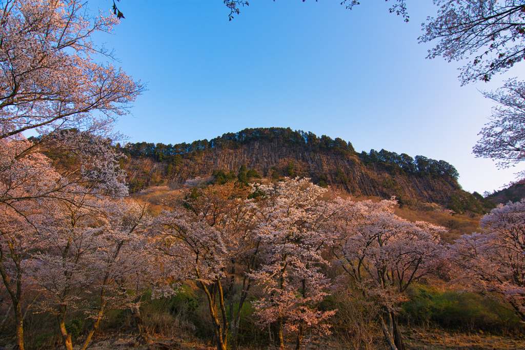 満開の屏風岩　弐