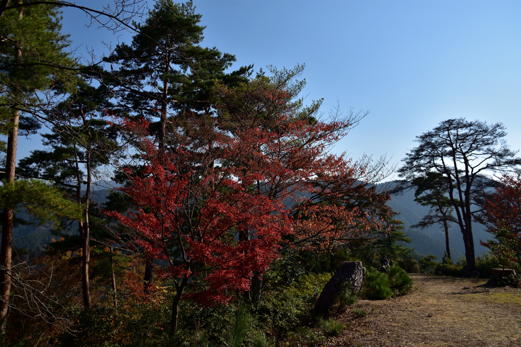 晴天の高城山