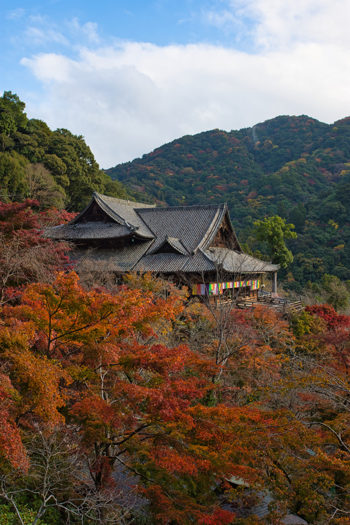 錦秋の長谷寺～本堂