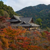 錦秋の長谷寺～本堂
