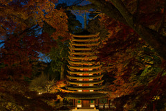 2022 晩秋の談山神社～ライトアップ