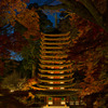 2022 晩秋の談山神社～ライトアップ