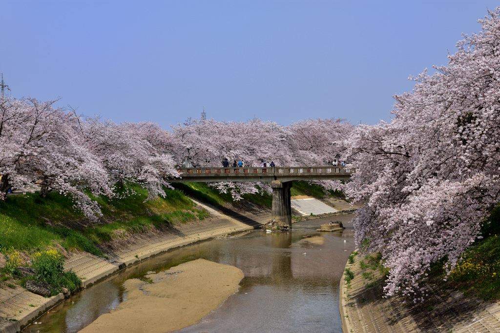 快晴の下で