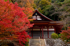 Re談山神社　②