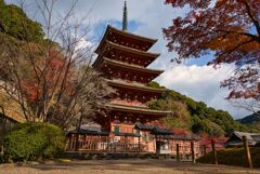 晩秋～紅葉の長谷寺 肆