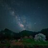 本郷の滝桜に昇る・・again