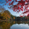 晩秋～紅葉の浮見堂