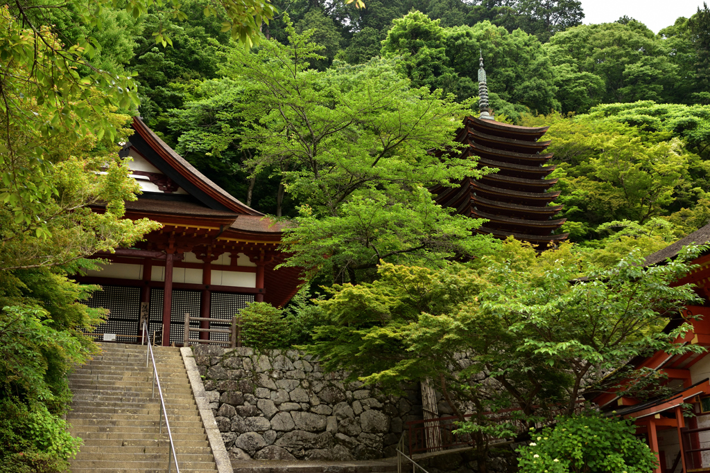 新緑の談山神社