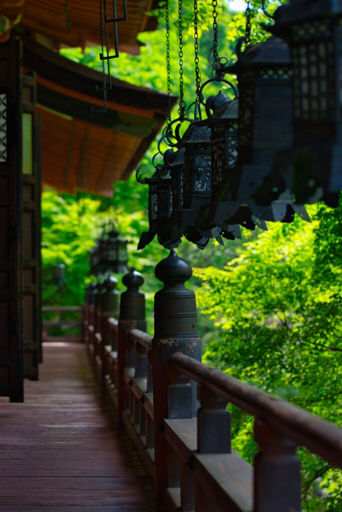 深緑の談山神社～拝殿　〈参〉