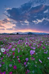 25楽園の終焉 其の弐 25楽園の終焉 其の弐