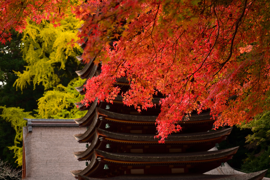 16’秋の談山神社②