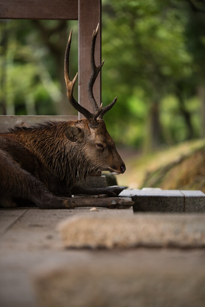 俺の居場所