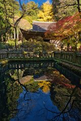 錦秋の灌頂堂