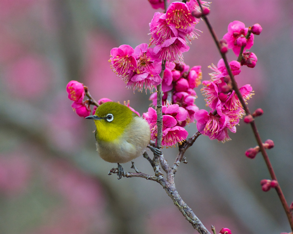 何か気になる？